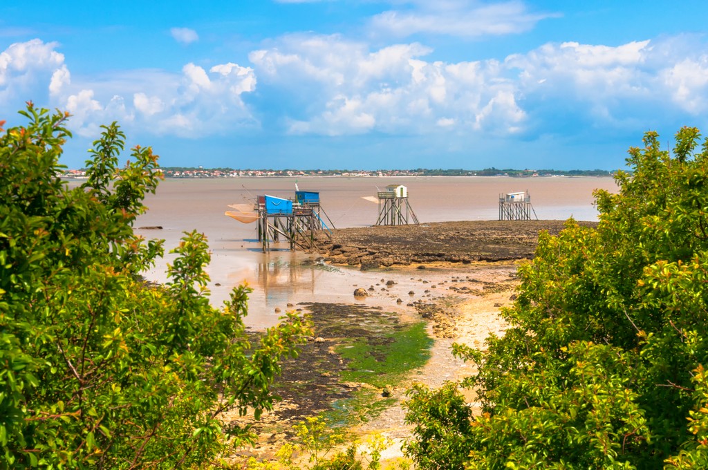 Photo de pontons sur l'île Madame
