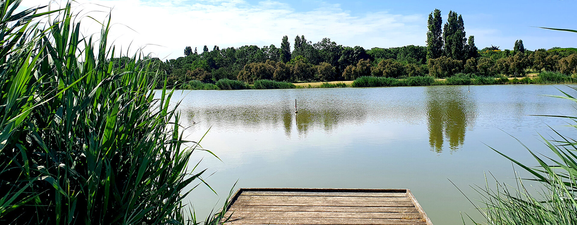 Ponton près d'un lac à Port des Barques